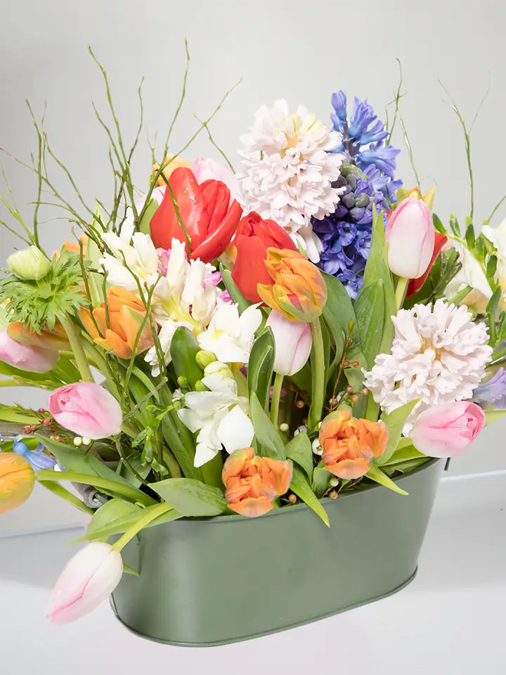 Composizione colorata di tulipani e giacinti close up